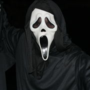 Horror Halloween Mask